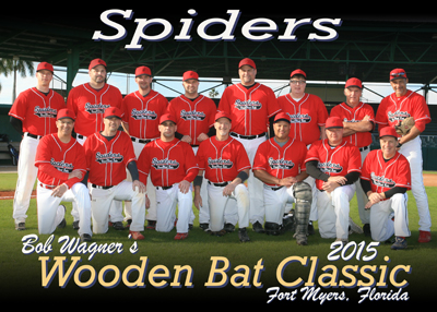 Spiders