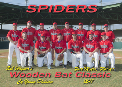 Spiders