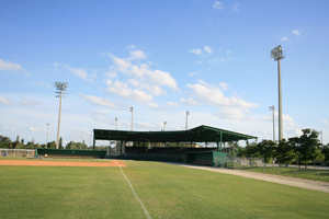 Terry Park Field